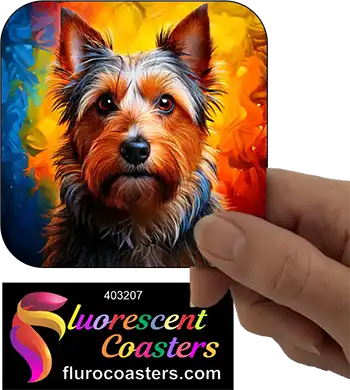 Australian Terrier Dog 4