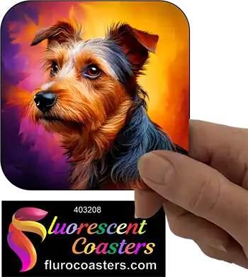 Australian Terrier Dog 5