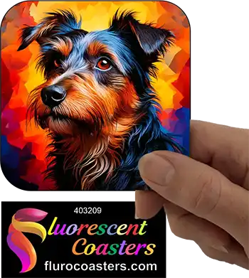 Australian Terrier Dog 6