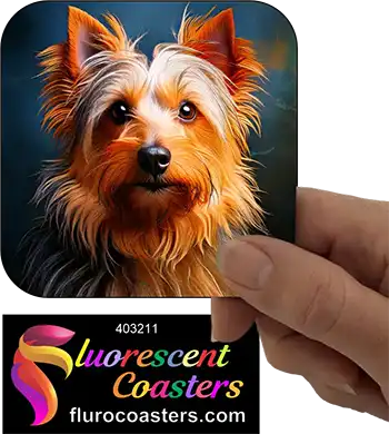 Silky Terrier Dog 4
