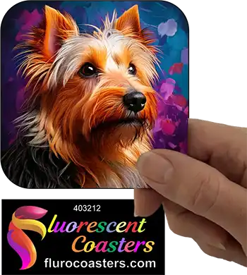 Silky Terrier Dog 5