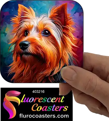 Silky Terrier Dog 9