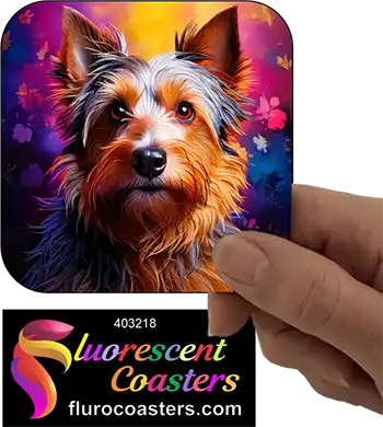 Silky Terrier Dog 11