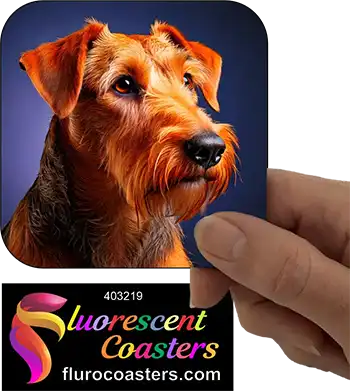 Airedale Terrier Dog 1