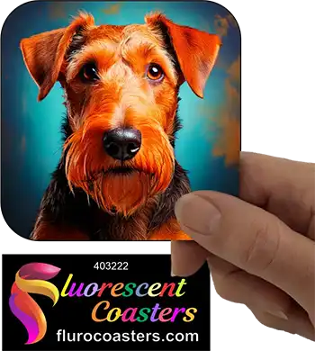 Airedale Terrier Dog 4