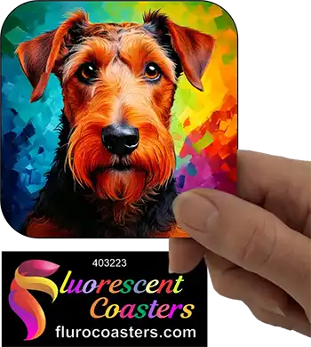 Airedale Terrier Dog 5