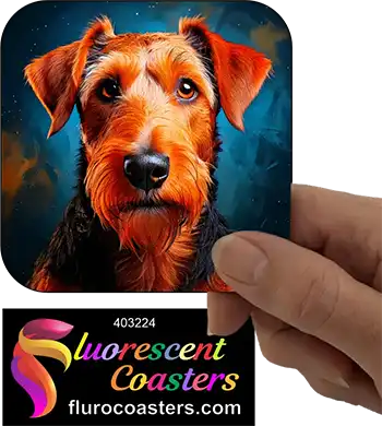 Airedale Terrier Dog 6