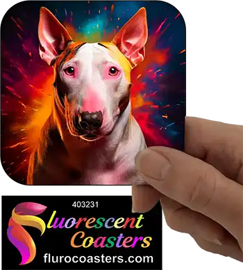 Bull Terrier Dog 6