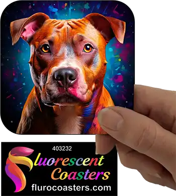 Staffordshire Bull Terrier Dog 13