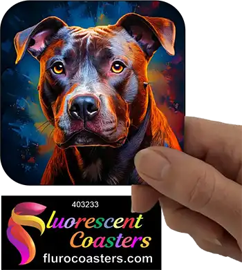 Staffordshire Bull Terrier Dog 14