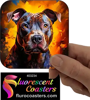 Staffordshire Bull Terrier Dog 15