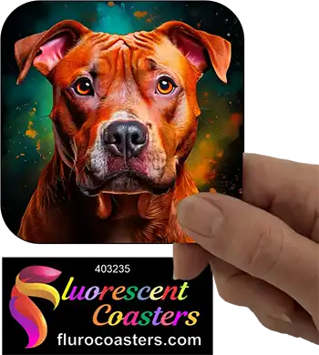 Staffordshire Bull Terrier Dog 16