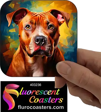 Staffordshire Bull Terrier Dog 17