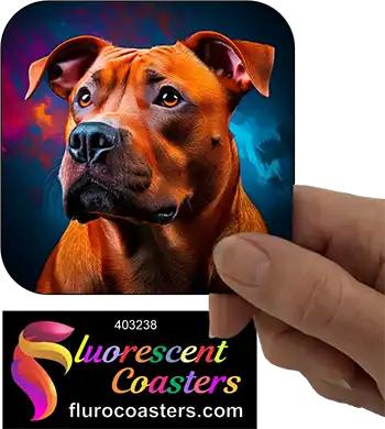 Staffordshire Bull Terrier Dog 19