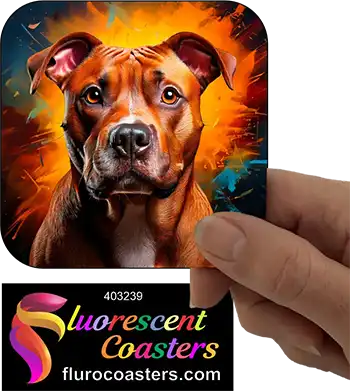 Staffordshire Bull Terrier Dog 20