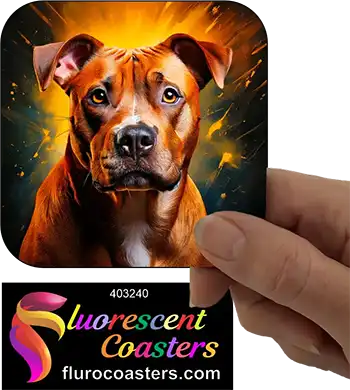 Staffordshire Bull Terrier Dog 21