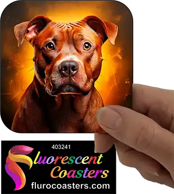 Staffordshire Bull Terrier Dog 22