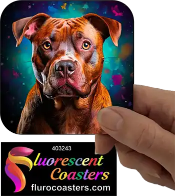 Brindle Staffordshire Bull Terrier Dog 1