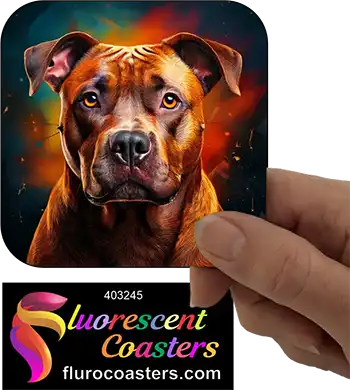 Brindle Staffordshire Bull Terrier Dog 3