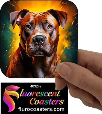 Brindle Staffordshire Bull Terrier Dog 5