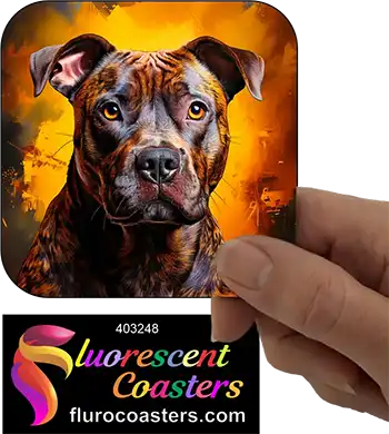 Brindle Staffordshire Bull Terrier Dog 6