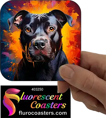 Black Staffordshire Bull Terrier Dog 2