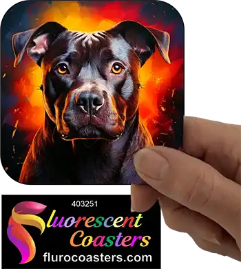 Black Staffordshire Bull Terrier Dog 3