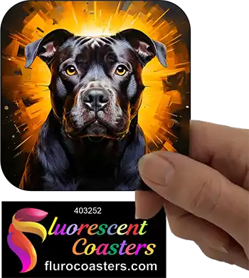 Black Staffordshire Bull Terrier Dog 4