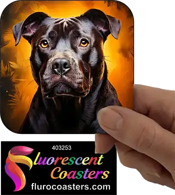 Black Staffordshire Bull Terrier Dog 5