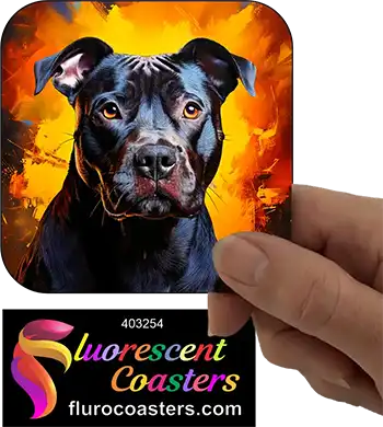 Black Staffordshire Bull Terrier Dog 6