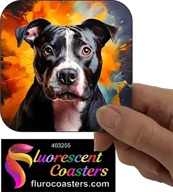 Black Staffordshire Bull Terrier Dog 7