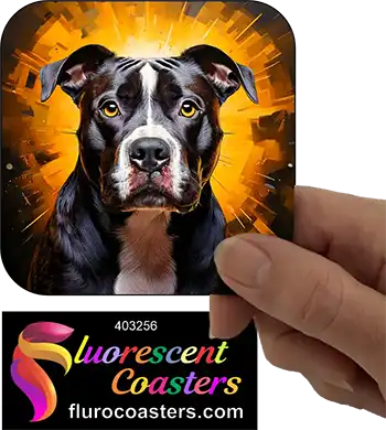 Black Staffordshire Bull Terrier Dog 8