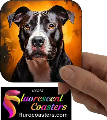 Black Staffordshire Bull Terrier Dog 9