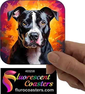 Black Staffordshire Bull Terrier Dog 10