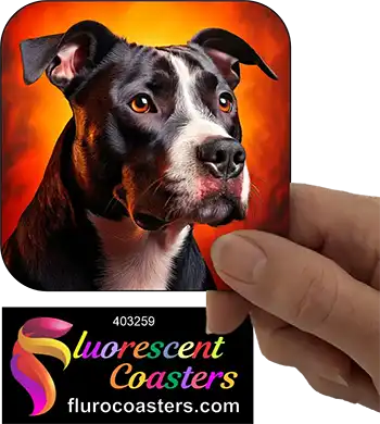 Black Staffordshire Bull Terrier Dog 11