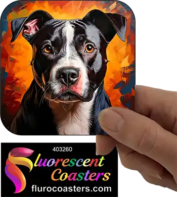 Black Staffordshire Bull Terrier Dog 12