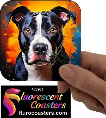 Black Staffordshire Bull Terrier Dog 13