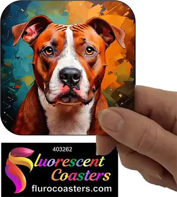 Staffordshire Bull Terrier Dog 24