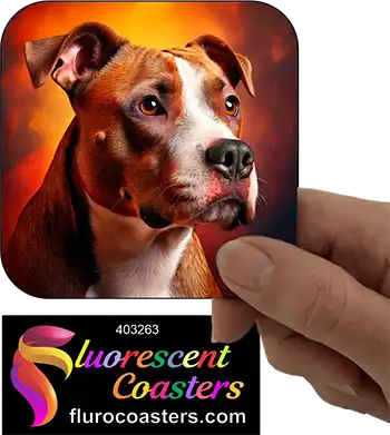 Staffordshire Bull Terrier Dog 25