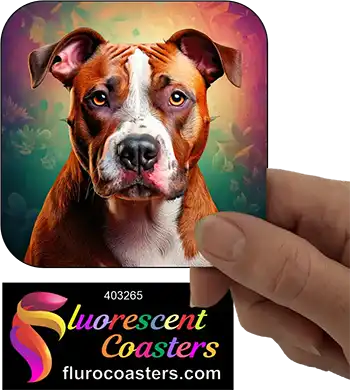 Staffordshire Bull Terrier Dog 27