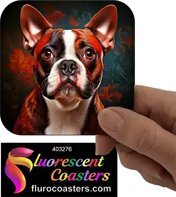 Red Boston Terrier Dog 2