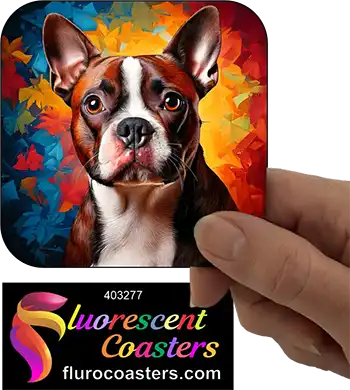 Red Boston Terrier Dog 3