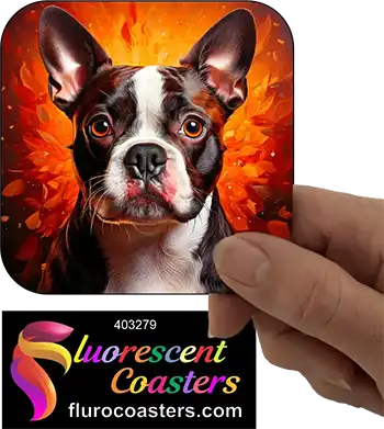 Red Boston Terrier Dog 5