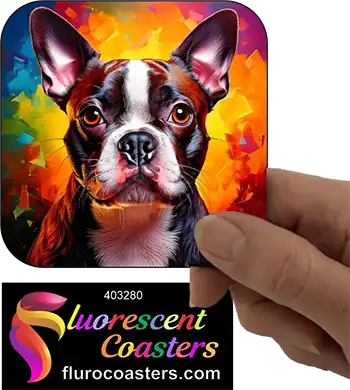 Red Boston Terrier Dog 6