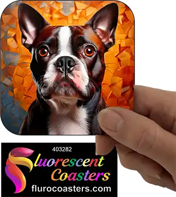 Red Boston Terrier Dog 8