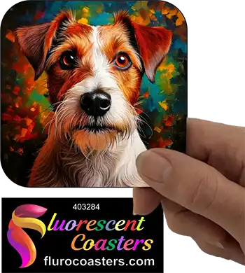 Wire Haired Jack Russell Terrier Dog 2