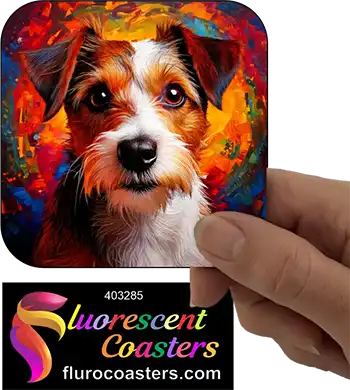 Wire Haired Jack Russell Terrier Dog 3