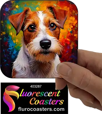 Wire Haired Jack Russell Terrier Dog 5