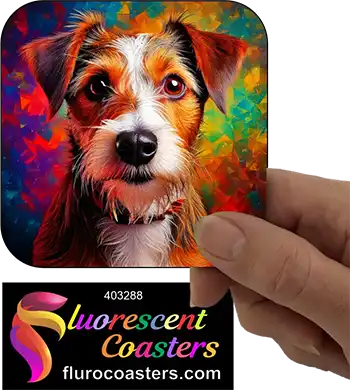 Wire Haired Jack Russell Terrier Dog 6