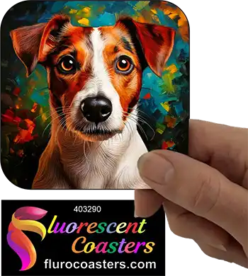 Jack Russell Terrier Dog 2